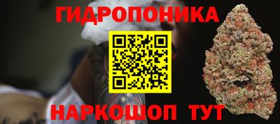 apvp Камышлов