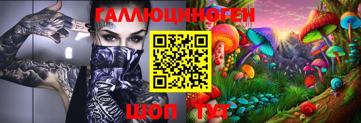Псилоцибиновые грибы Psilocybine cubensis Красноярск