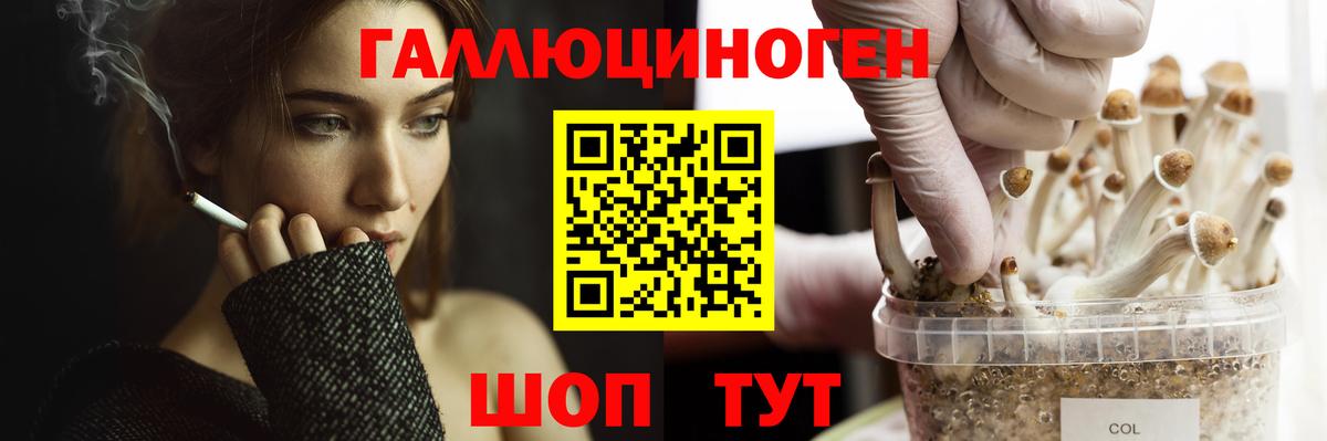 Псилоцибиновые грибы мухоморы  Галлюциногенные грибы мицелий  купить наркотик  Красноярск  Вход с VPN 